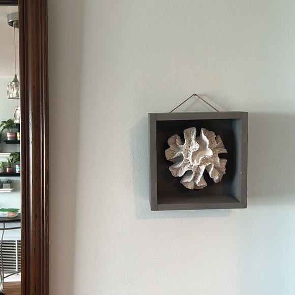 White Coral in 7.5” Square Grey Shadowbox Wall Decor - Picture 4 of 4